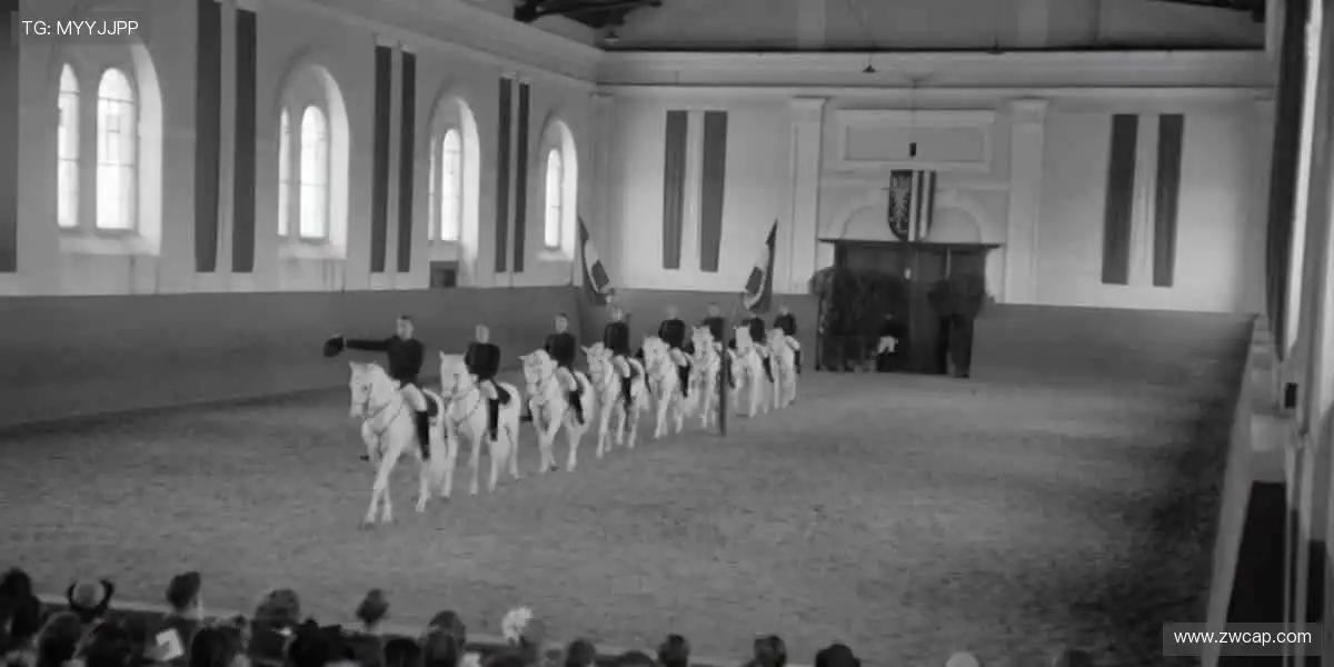 热血直播,永不间断!🔥