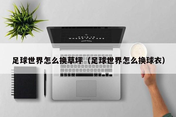 足球世界怎么换草坪（足球世界怎么换球衣）